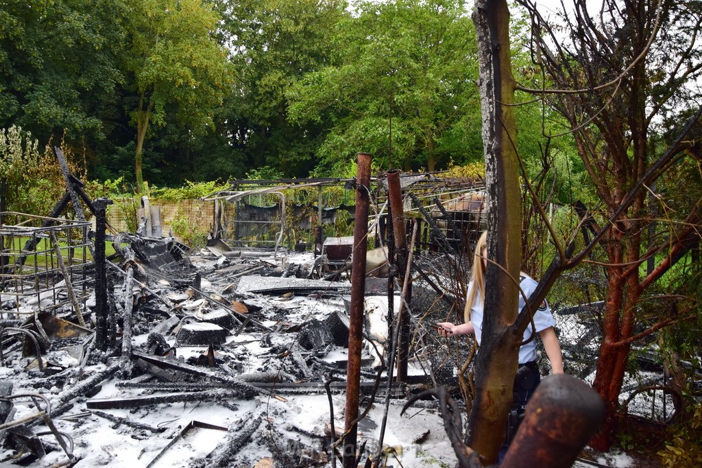 Laubenbrand Koeln Holweide Kochwiesenstr P184.JPG - Miklos Laubert